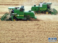 金色田野里“瞰”麦收