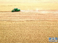 金色田野里“瞰”麦收