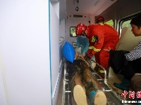 直击黄梅一村庄山体滑坡搜救现场（组图）