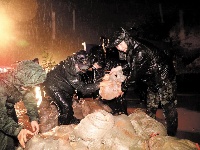 闻“汛”而动 向险而行（组图）