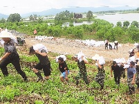 防汛关键期 坚守不懈怠