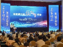 2020年湖北第三届“政能量”峰会举行
