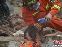 直击黄梅一村庄山体滑坡搜救现场（组图）