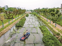 高水平创建全国文明城市 武汉十大行动惠民生 