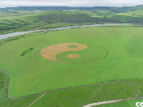 【幸福花开新边疆】中俄界河边上，奥洛契庄园种出世界最大太极图