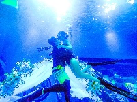 “海底”潜吻 爱燃七夕 武汉1925对新人昨领证