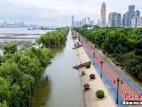 武汉汉口江滩公园即将恢复开放