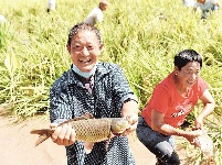 
庆丰收 迎小康 湖北省各地欢庆农民丰收节