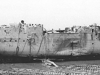 同仇敌忾御外侮 浴血奋战奏凯歌