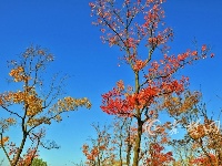 看，深秋时节的十堰美的不像话！