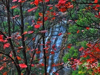 看，深秋时节的十堰美的不像话！