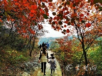 看，深秋时节的十堰美的不像话！