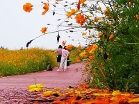 看，深秋时节的十堰美的不像话！