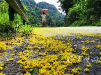 看，深秋时节的十堰美的不像话！