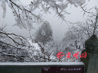 武当山又双叒下雪了！