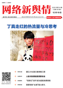 《网络新舆情》2020年第34期