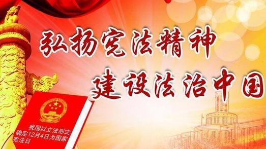 2020年“宪法进网络”