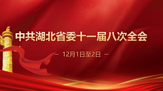 中共湖北省委十一届八次全会