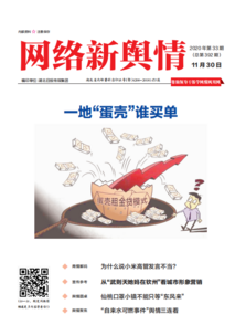 《网络新舆情》2020年第33期