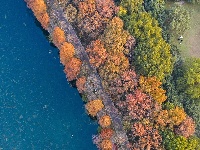 航拍冬日武汉东湖：层林尽染 色彩斑斓 