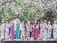 山河今无恙、人比樱花俏！“两山”医院女建设者穿旗袍游武大