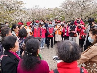 “樱为武汉 与你湘渝”丨江城芳菲正盛 援鄂医护赴约故地重游