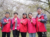 “櫻為武漢 與你湘渝”丨江城芳菲正盛 援鄂醫(yī)護(hù)赴約故地重游