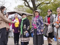 “櫻為武漢 與你湘渝”丨江城芳菲正盛 援鄂醫(yī)護(hù)赴約故地重游