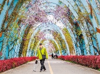 探访武汉“看夕阳老人”：我挺好!（组图）