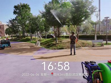 夏季户外游玩当心蛇虫，武汉市民热线12345发出提醒