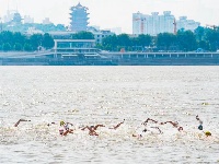 中流击水英雄城！武汉渡江节顺利举行