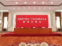 发布会开始前