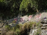 【图集】荆州·荆彩这三年丨文旅篇