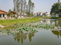 【图集】荆州·荆彩这三年丨文旅篇