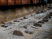 【图集】荆州·荆彩这三年丨文旅篇