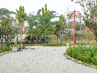【图集】荆州·荆彩这三年丨城镇篇