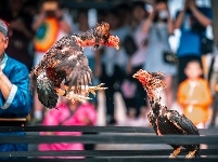 圖游開封清明上河園！這些打卡點，你不能錯過