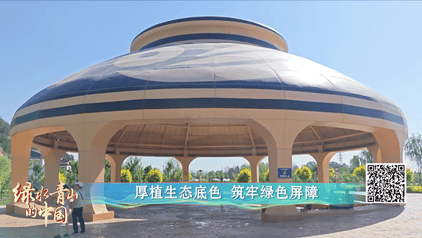 绿水青山的中国丨绘就黄河之滨的绿色“兰”图