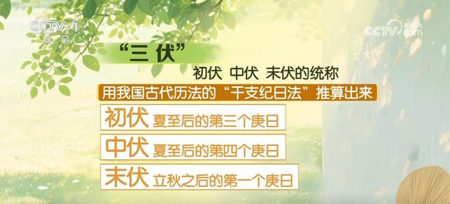 「今日入伏」盛夏登场，“最短”三伏天来了