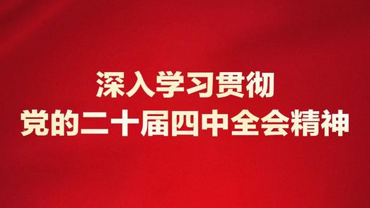 深入学习贯彻党的二十届四中全会精神