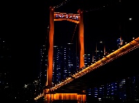 “赓续荆楚文脉 奋力建成支点”2025年网络大V荆楚行活动图片集锦