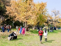 “赓续荆楚文脉 奋力建成支点”2025年网络大V荆楚行活动图片集锦