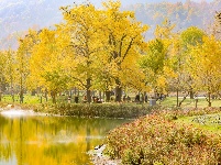 “赓续荆楚文脉 奋力建成支点”2025年网络大V荆楚行活动图片集锦