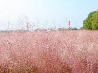 “赓续荆楚文脉 奋力建成支点”2025年网络大V荆楚行活动图片集锦