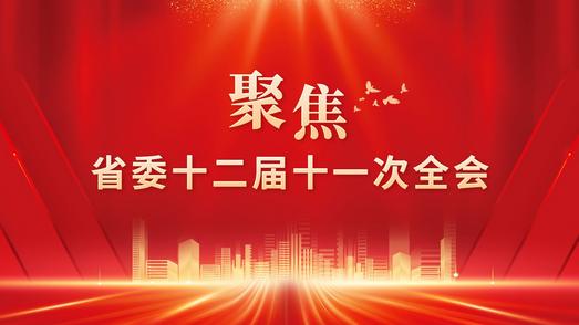 聚焦省委十二届十一次全体会议