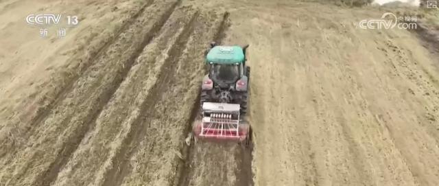 “新技术+新机械”助力播栽 夯实来年丰产丰收基础
