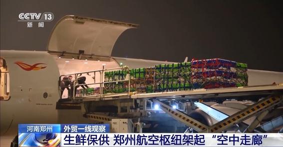 视频丨多式联运织密物流网 郑州推动“内陆节点”跃升为开放前沿