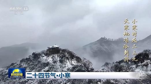 文化中国行丨二十四节气·小寒 梅绽小寒枝头 大雁渐次北归