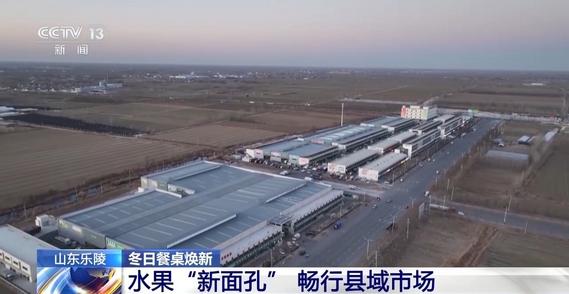 视频丨“鲜”链直达！新鲜果蔬丰富百姓冬日餐桌