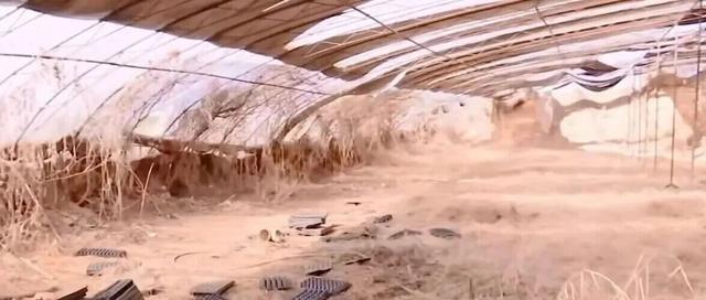 河北初中生杀害同学埋尸案，细节披露！